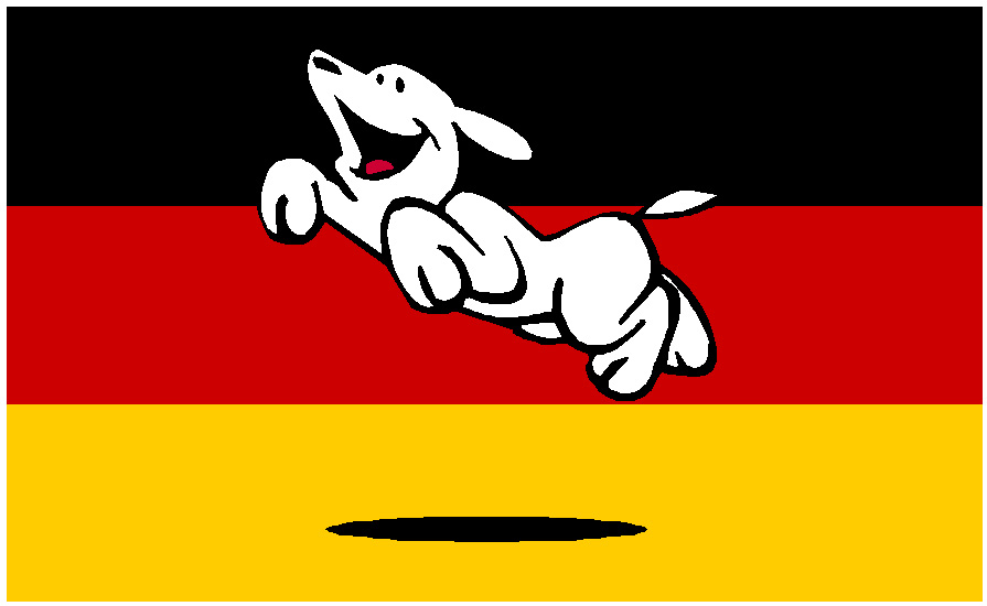 dvg-niedersachsen.org