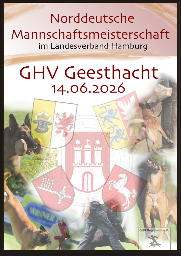 flyer ndmm 2026