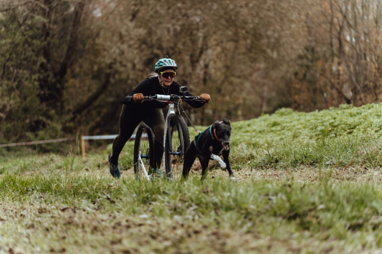 dogscooter