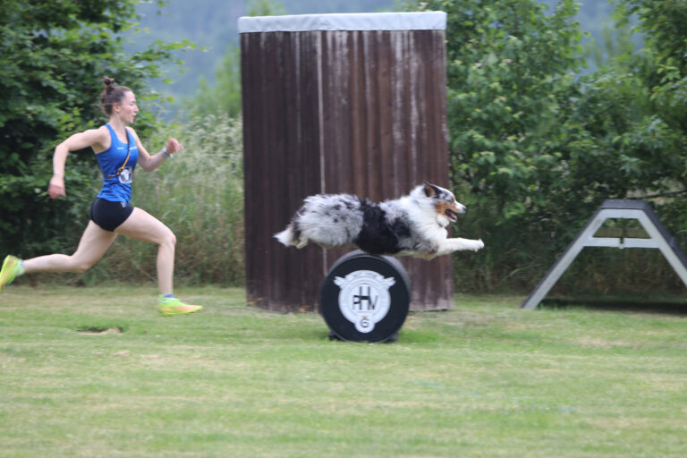 hindernislauf