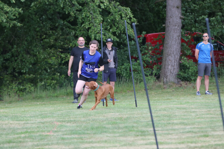 slalom