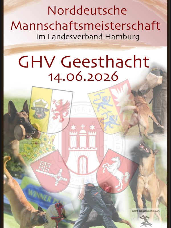 flyer ndmm 2026